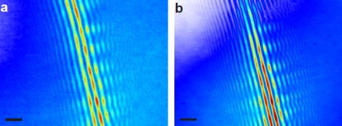 Electrons emitted from a nanotip interfere at a carbon nanotube beam splitter. In (a) electrons are laser-emitted, while in (b) DC field emission is investigated. In both cases the transverse coherence, directly indicated by the number of fringes, is very high. May 2015