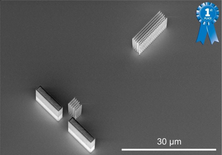 SEM competition at Oxford Instruments Plasma Technology
