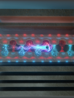 Towards entry "Photon quantum statistics imprinted on free electrons – published in Science"