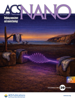 Towards entry "ACS Nano cover"